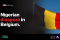 Banner image for Nigerian Diaspora in Belgium